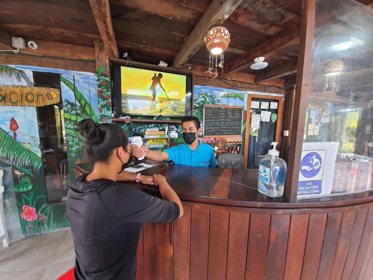 Eco Cabanas Bluekay マアウアル エクステリア 写真