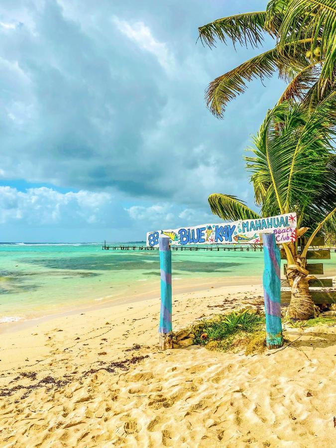 Eco Cabanas Bluekay マアウアル エクステリア 写真