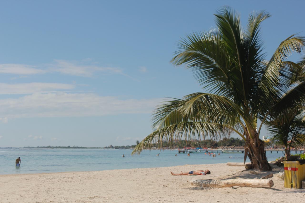 Eco Cabanas Bluekay マアウアル エクステリア 写真
