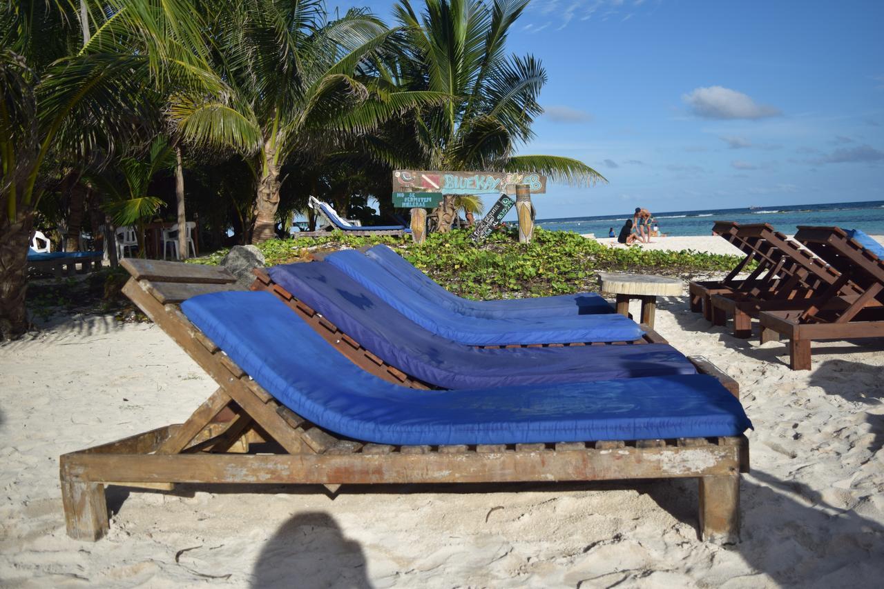 Eco Cabanas Bluekay マアウアル エクステリア 写真