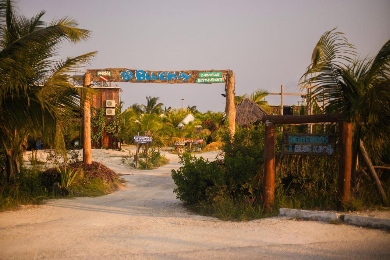 Eco Cabanas Bluekay マアウアル エクステリア 写真